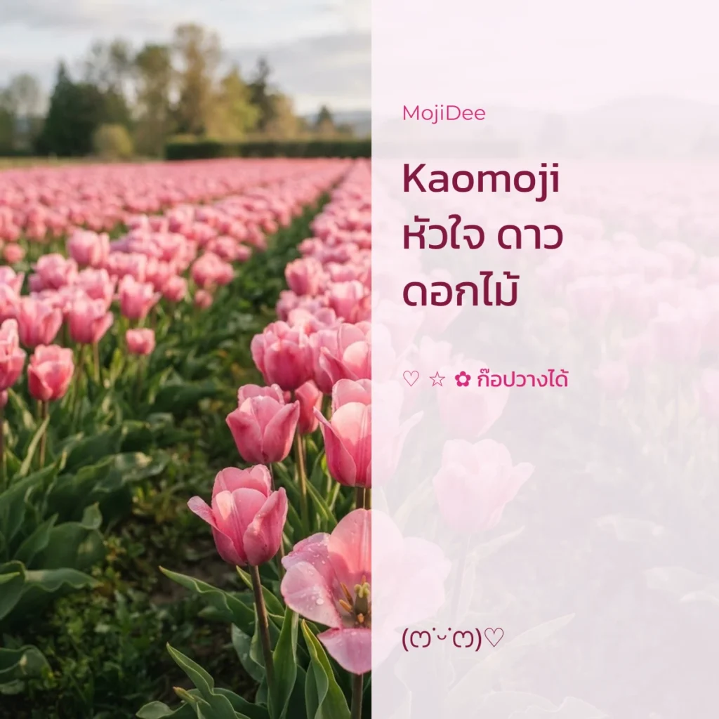 Kaomoji หัวใจ ดาว ดอกไม้ จาก MojiDee